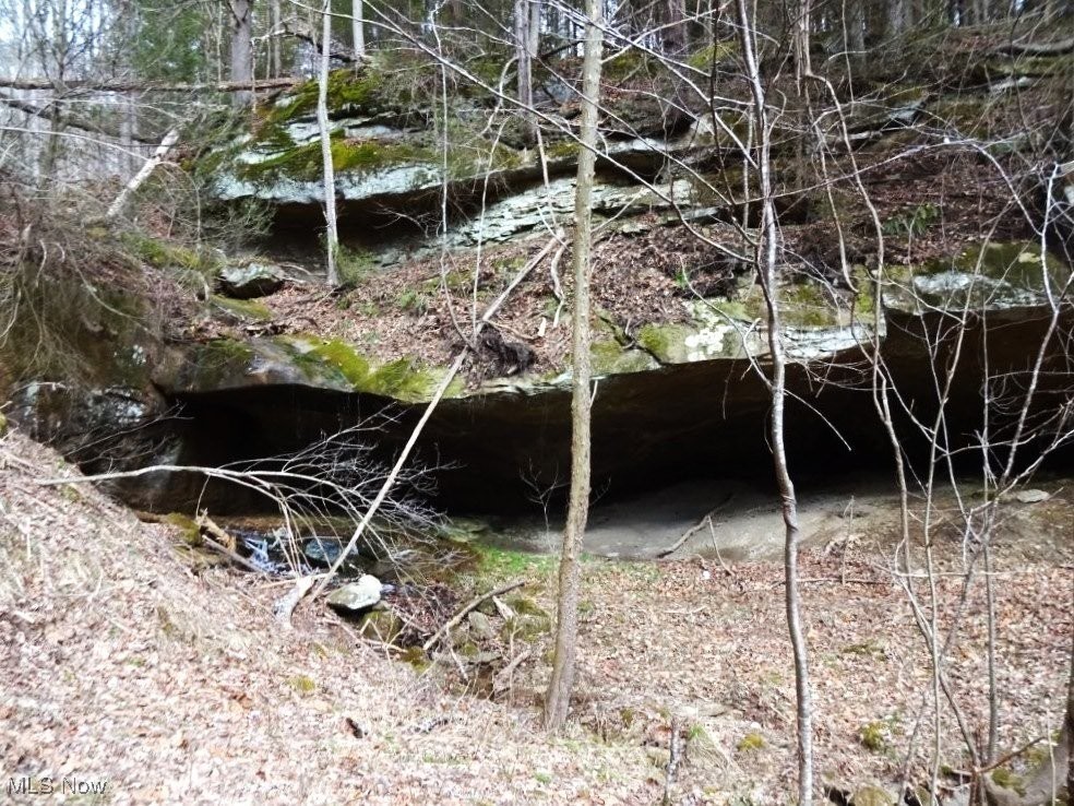 793 Straight Creek Road, Walton, West Virginia image 17