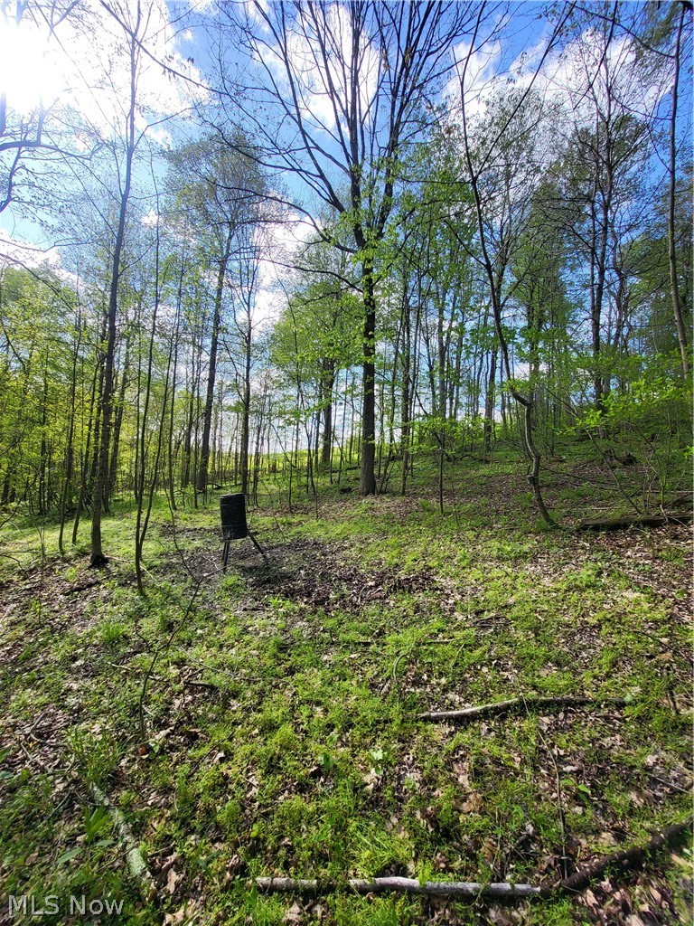 Township Road 62