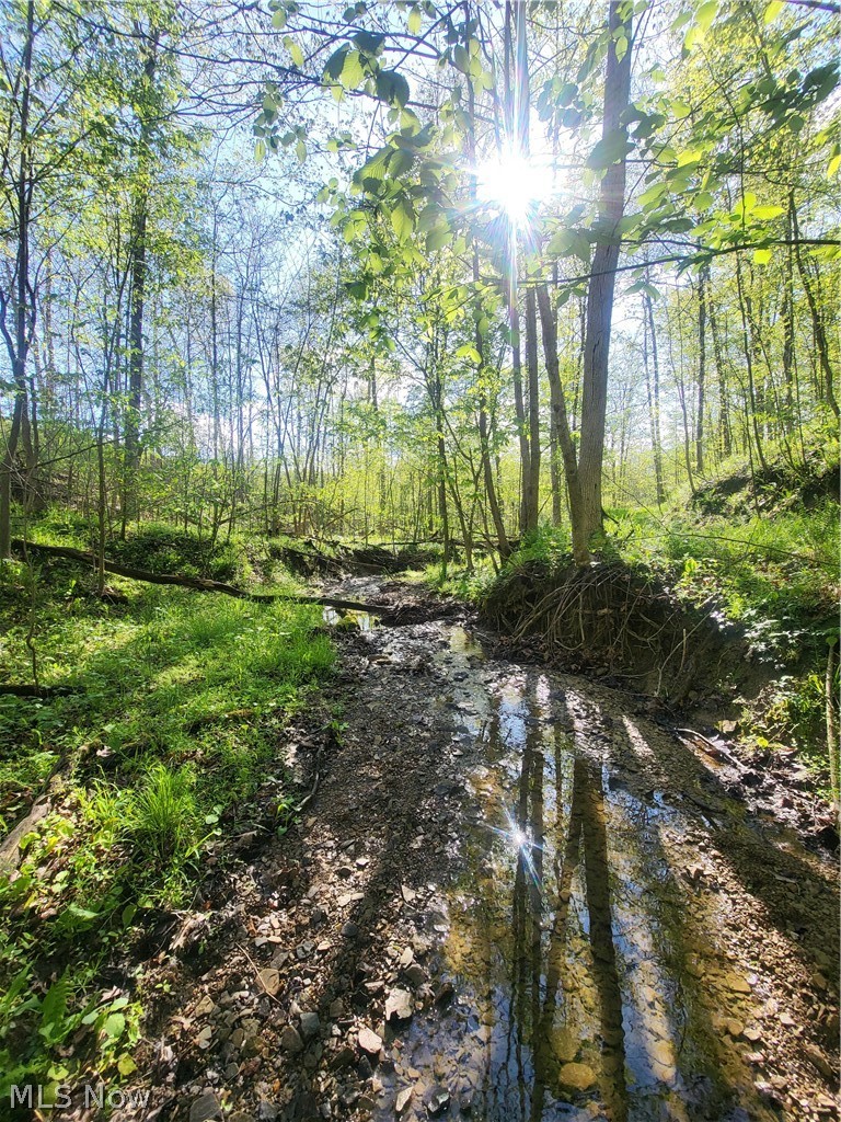 Township Road 62