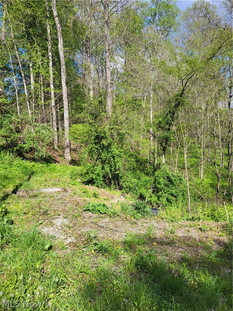 Township Road 62