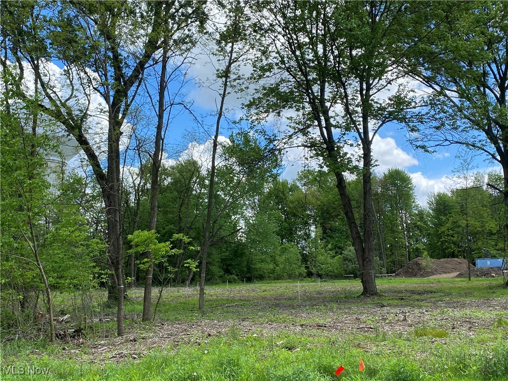 8615 Hunters Ridge Run, Wadsworth, Ohio image 6