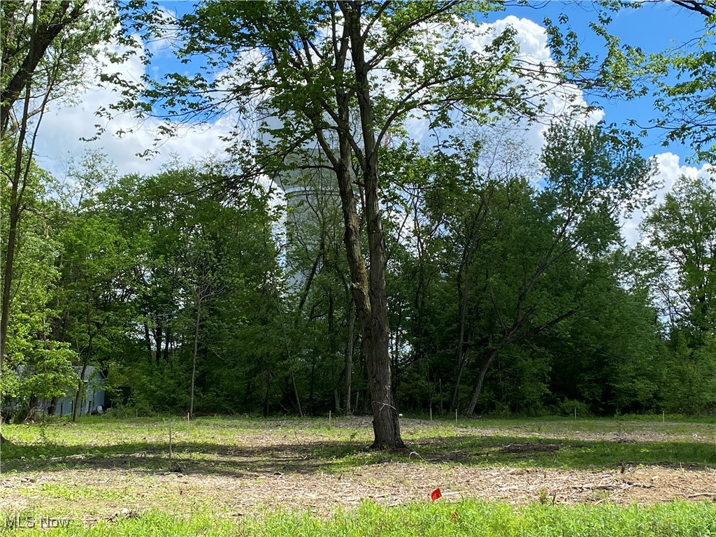 8615 Hunters Ridge Run, Wadsworth, Ohio image 7