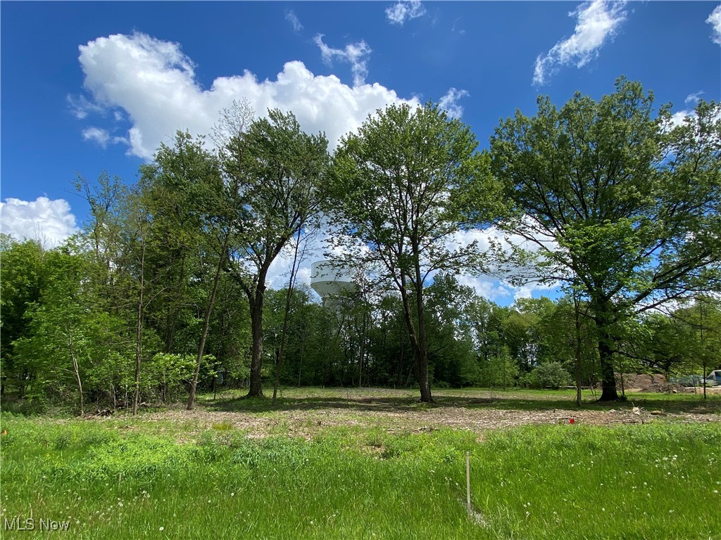 8615 Hunters Ridge Run, Wadsworth, Ohio image 1