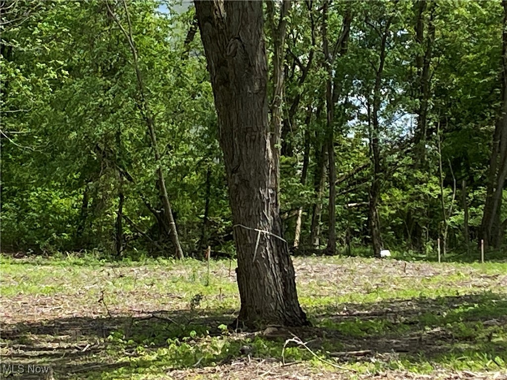 8615 Hunters Ridge Run