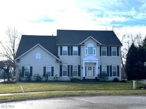 2858 Orchard Grove Court Fairlawn OH 44333