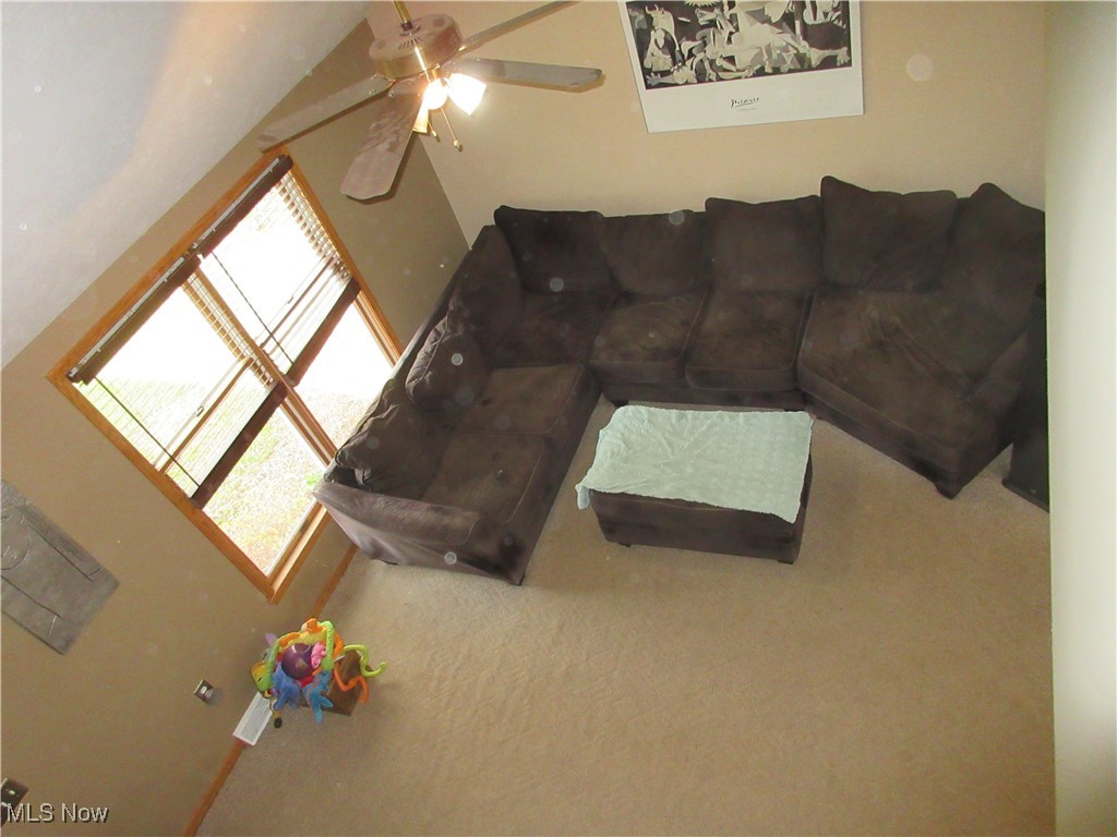 6463 Bel Air Drive, Andover, Ohio image 13