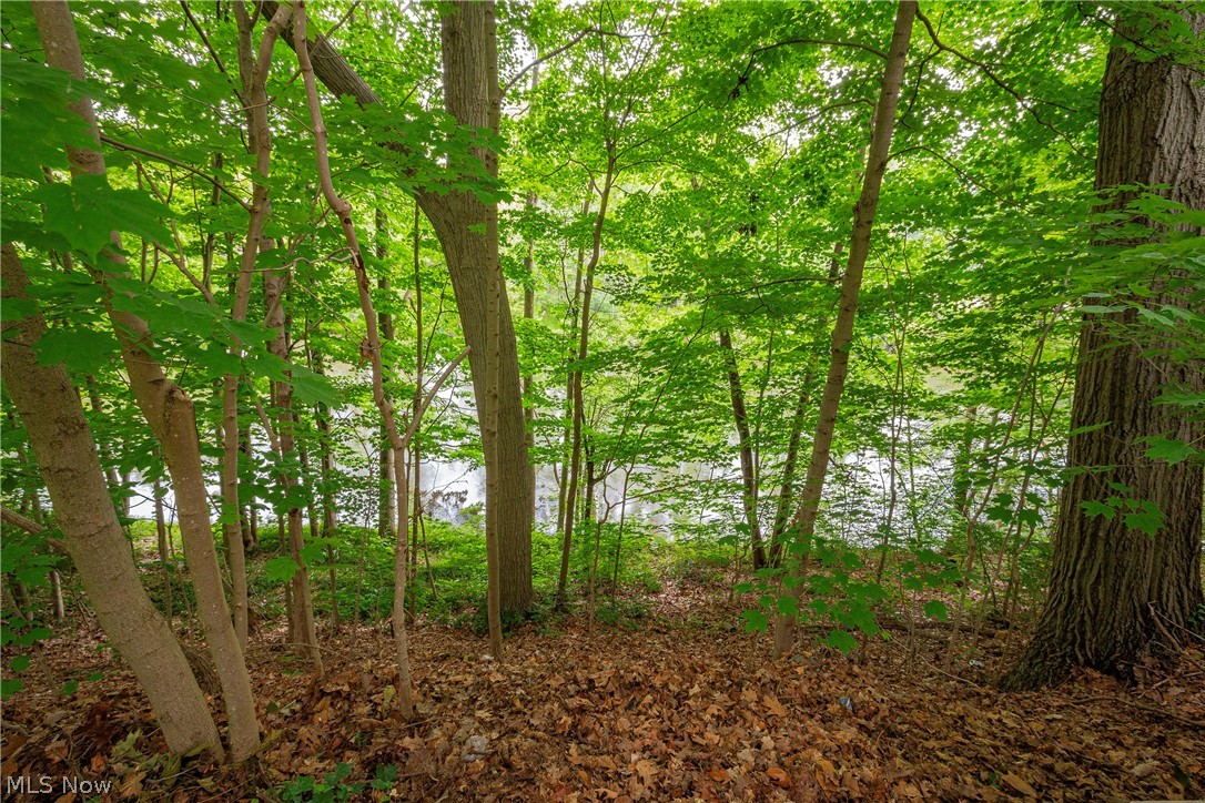 Red Fox Estates - Residential