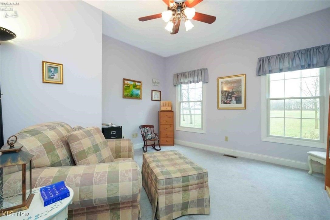9619 Bemis Road, Bellevue, Ohio image 45