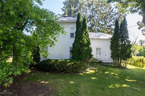 225 Burbank Street, Creston, OH 44217 - #: 5132946
