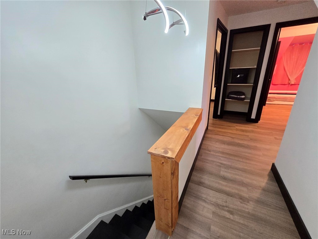 Belvior Terrace - Residential