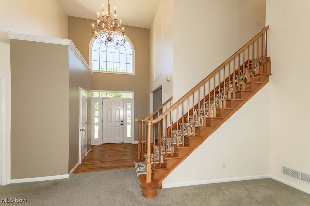 415 Cascade Court
