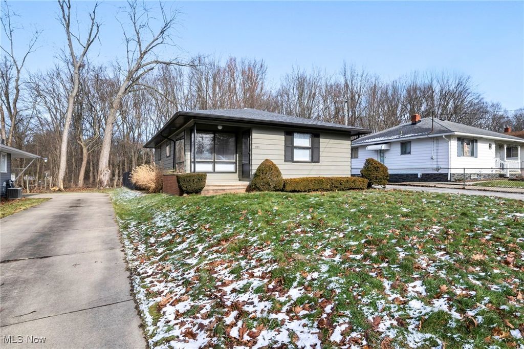 Photo of 1171 Jason Avenue, Akron, OH 44314 (MLS # 5181061)