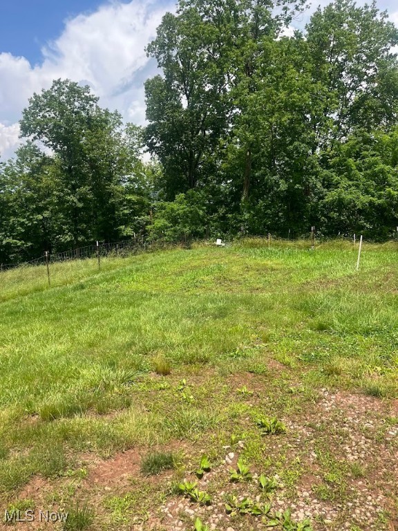 Blennerhassett Heights, Parkersburg, West Virginia image 2