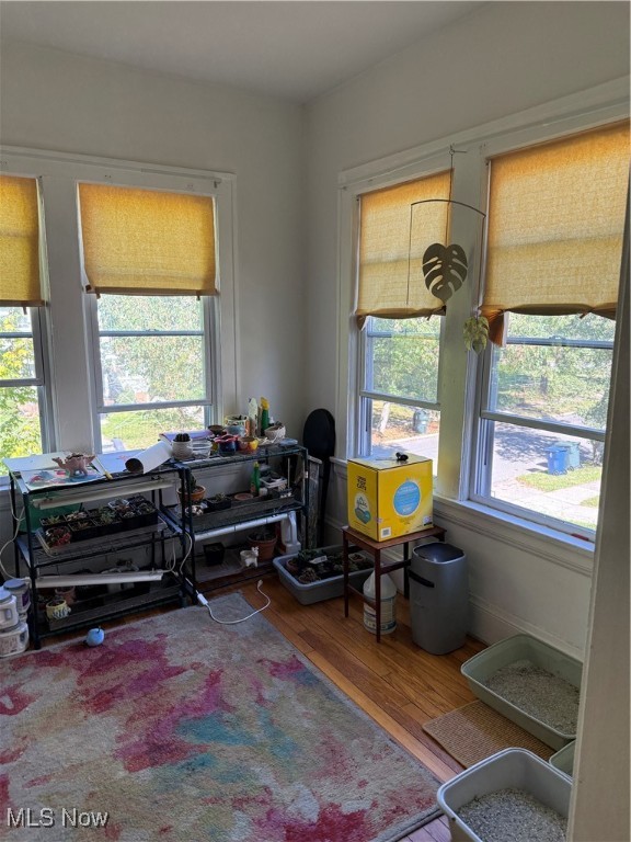 Superior Heights Allotment - Residential Income