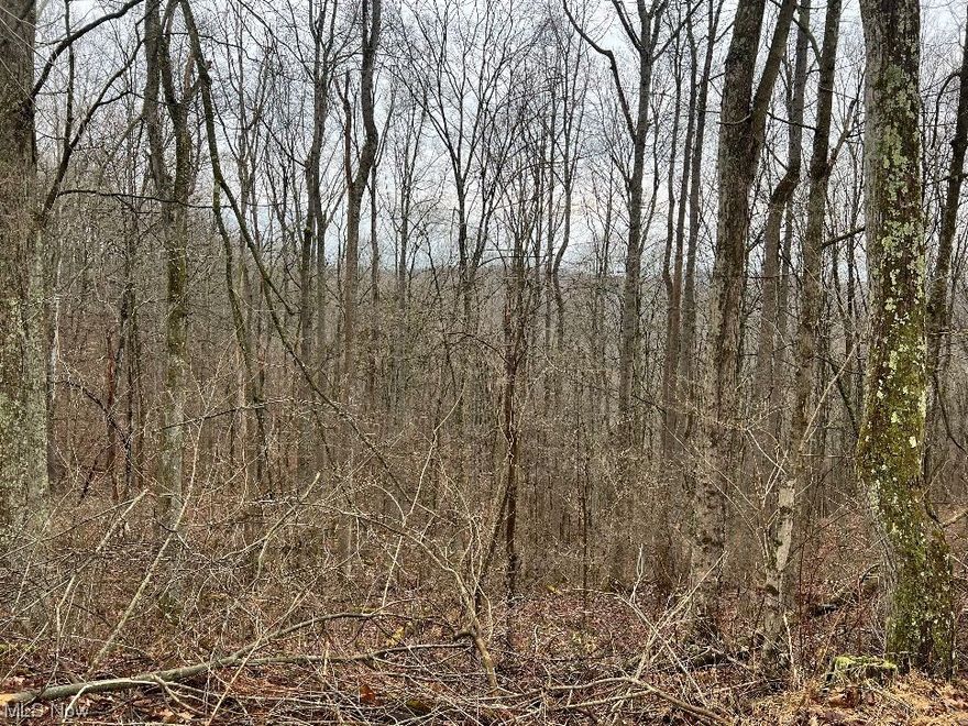 Nestled within the picturesque countryside lies a pristine expanse of 102 acres of woodland, offering an idyllic haven for outdoor enthusiasts and adventurers alike.  Various Hardwoods throughout.  For hunting enthusiasts, this property offers prime opportunities to track various species of wildlife... Whitetail, Turkey, ETC.  Whether you're an experienced hunter or a novice seeking the thrill of the chase, these woods provide an ideal setting for a memorable hunt. In summary, this 102-acre woodland paradise is a haven for outdoor enthusiasts, offering endless opportunities for hunting, ATV adventures, and immersive nature experiences.