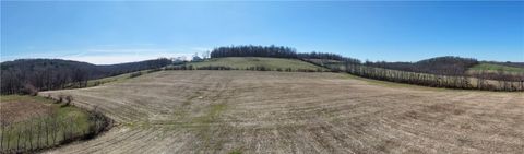 Vacant Land For Sale - Flat Run Road<br/> Knox County, Danville, OH 43014
