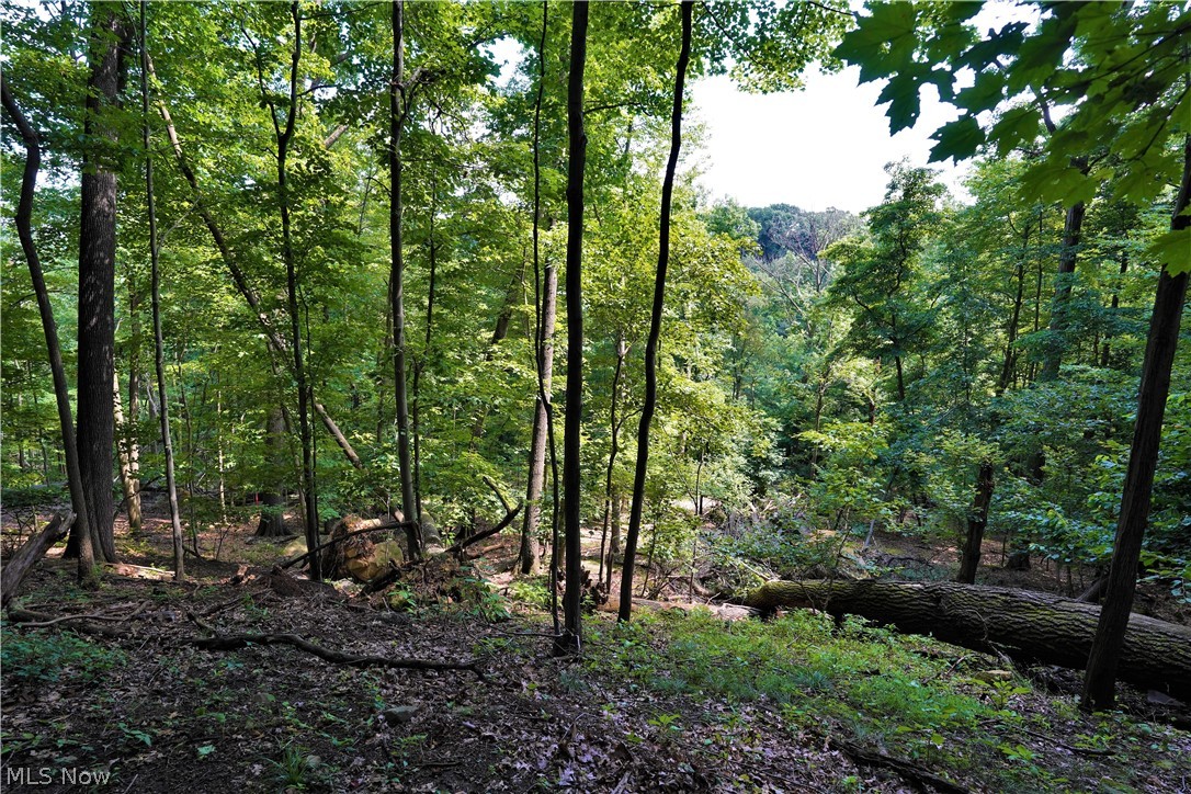 Gorge Falls - Residential