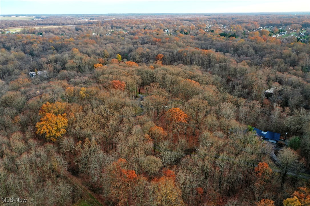 Muir Woods Drive, Warren, Ohio image 16