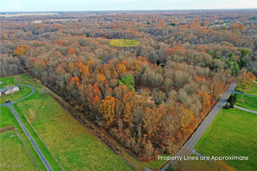 Muir Woods Drive, Warren, Ohio image 8