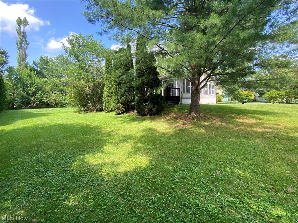 Chagrin Falls Park Sub - Residential