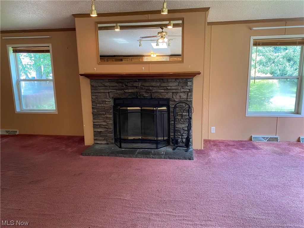 Chagrin Falls Park Sub - Residential