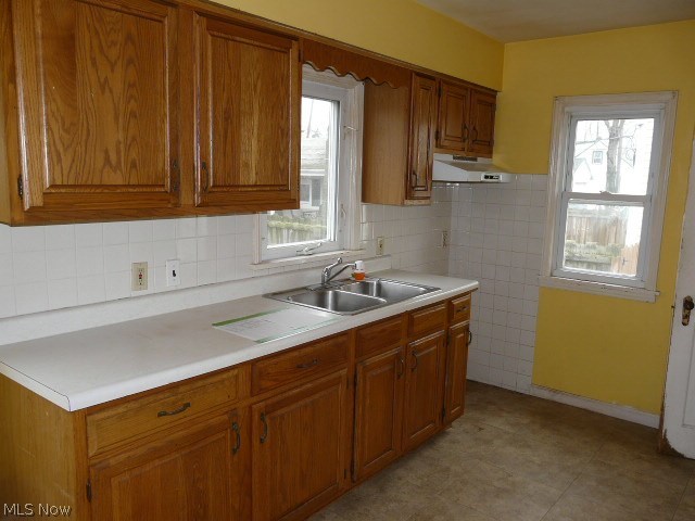 Euclid Erie Park - Residential