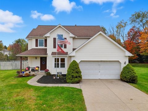 5035 Red Maple Court Medina OH 44256