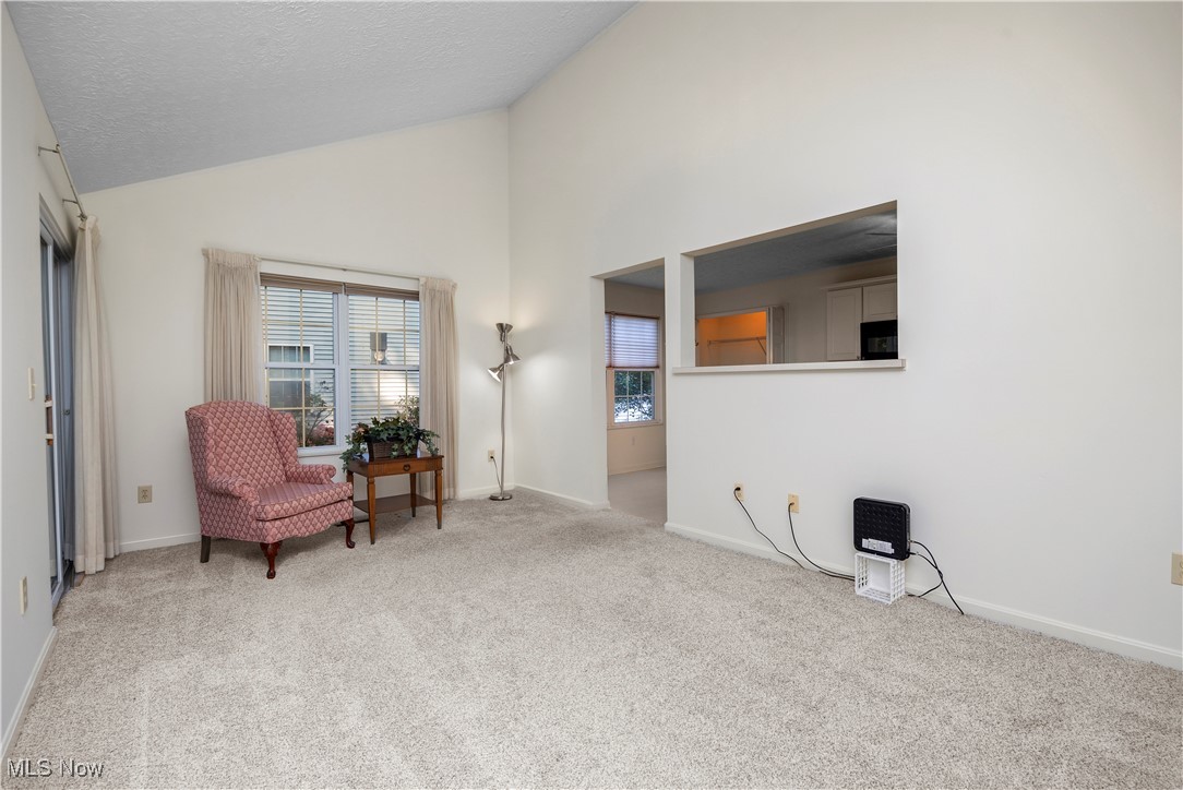 Cinnamon Woods Condo - Residential