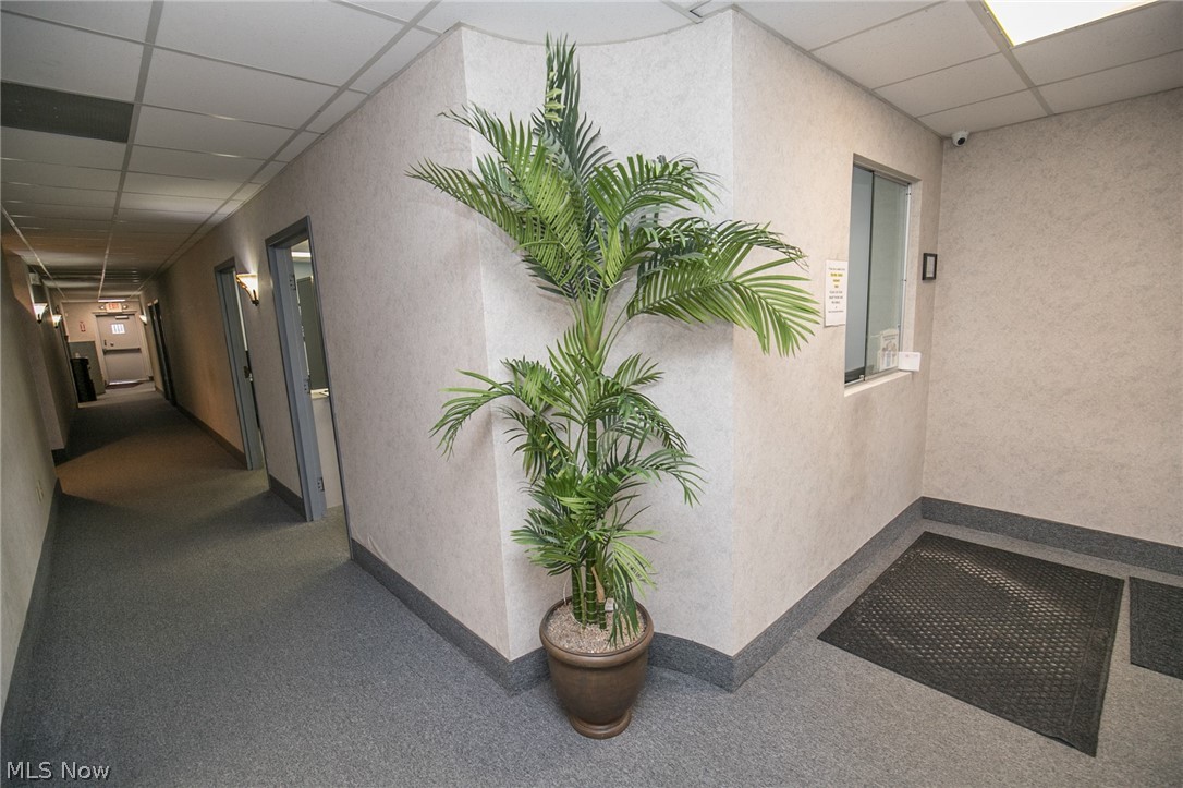 Brookpark Rdg - Commercial Lease