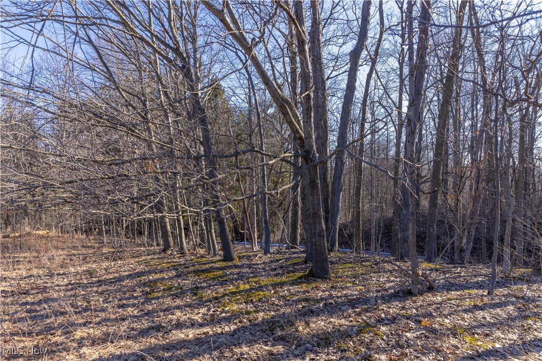 Idlewood Drive, Geneva, Ohio image 7