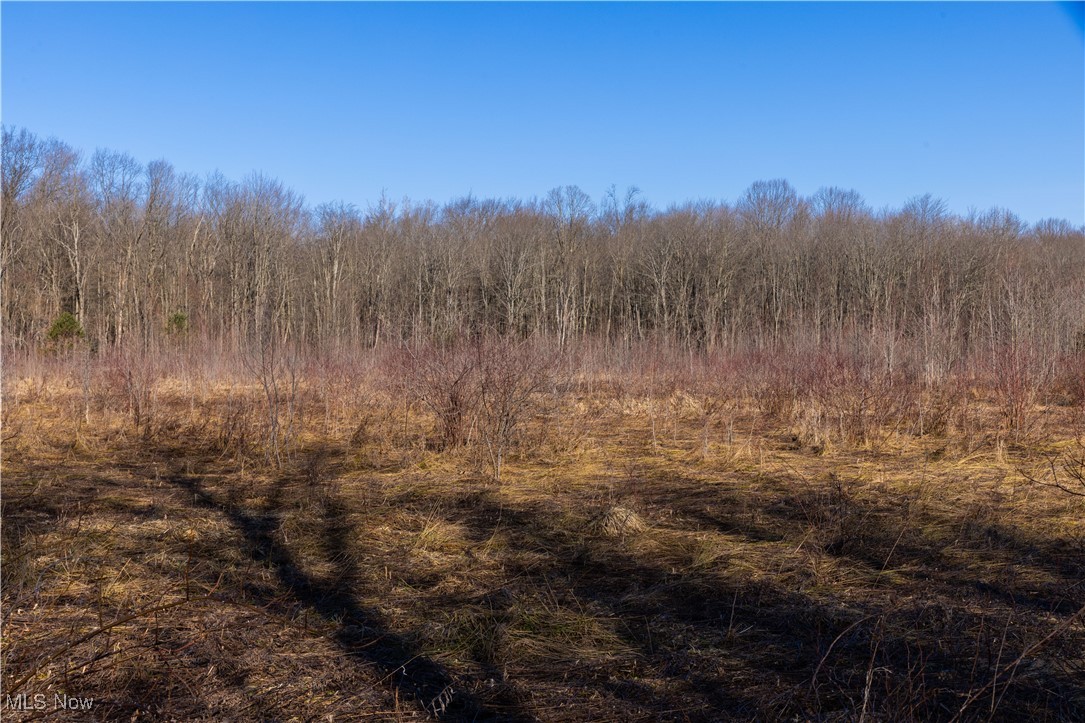Idlewood Drive, Geneva, Ohio image 9