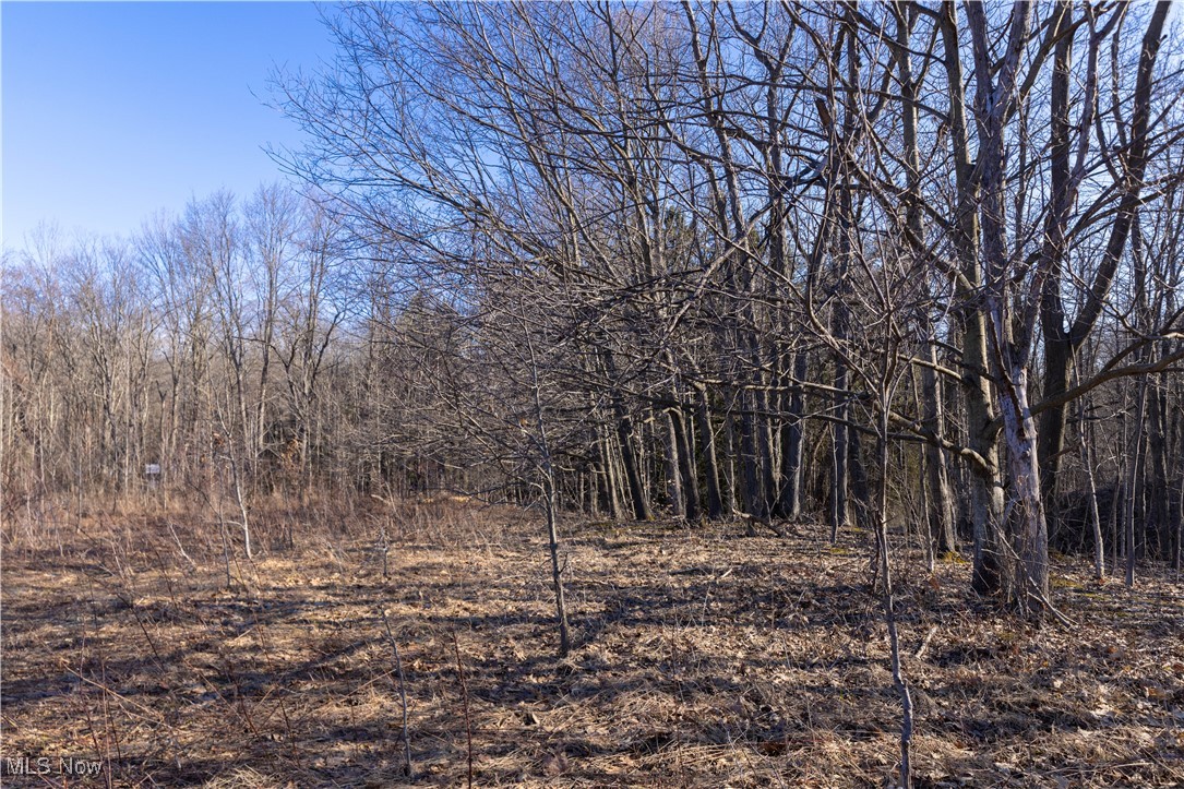 Idlewood Drive, Geneva, Ohio image 6