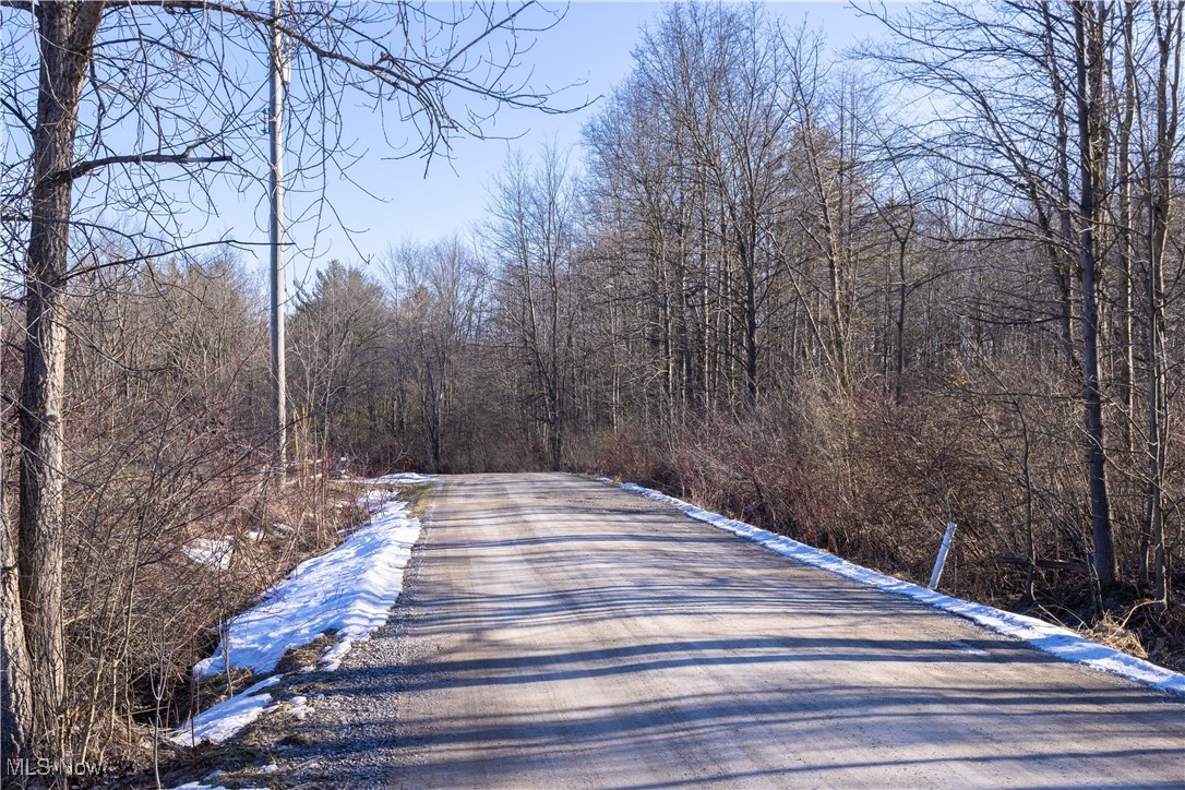 Idlewood Drive, Geneva, Ohio image 10