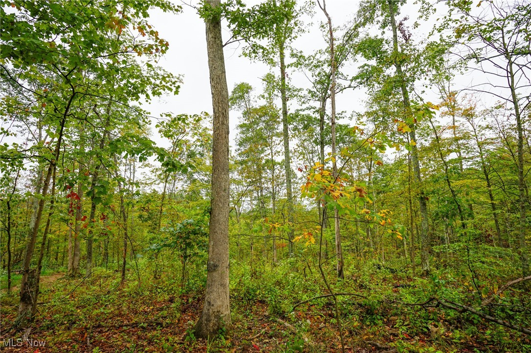 N Finley Rd, Malta, Ohio image 3