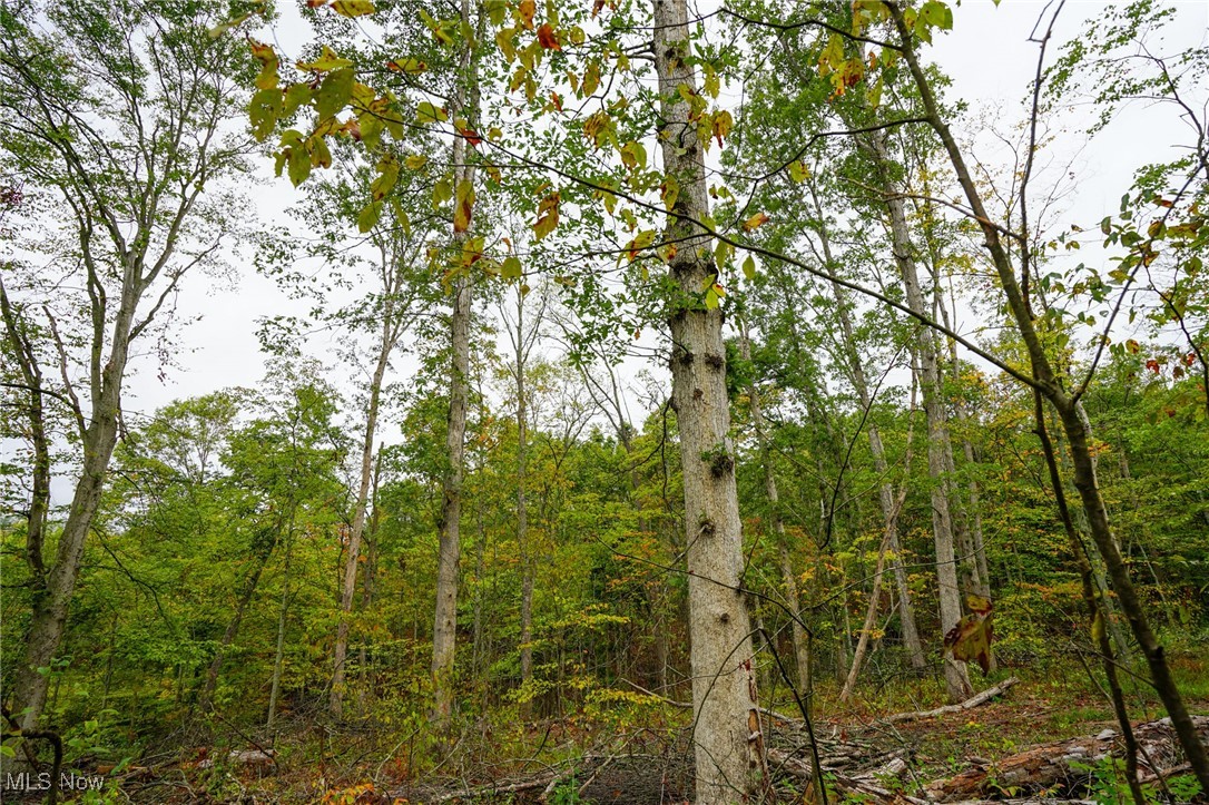 N Finley Rd, Malta, Ohio image 7