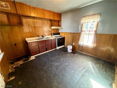 Tiny photo for 4391 E 86th Street, Cleveland, OH 44105 (MLS # 5255059)