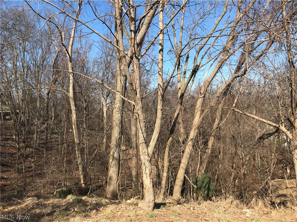 Albert Rispo Sub #7-C - Land