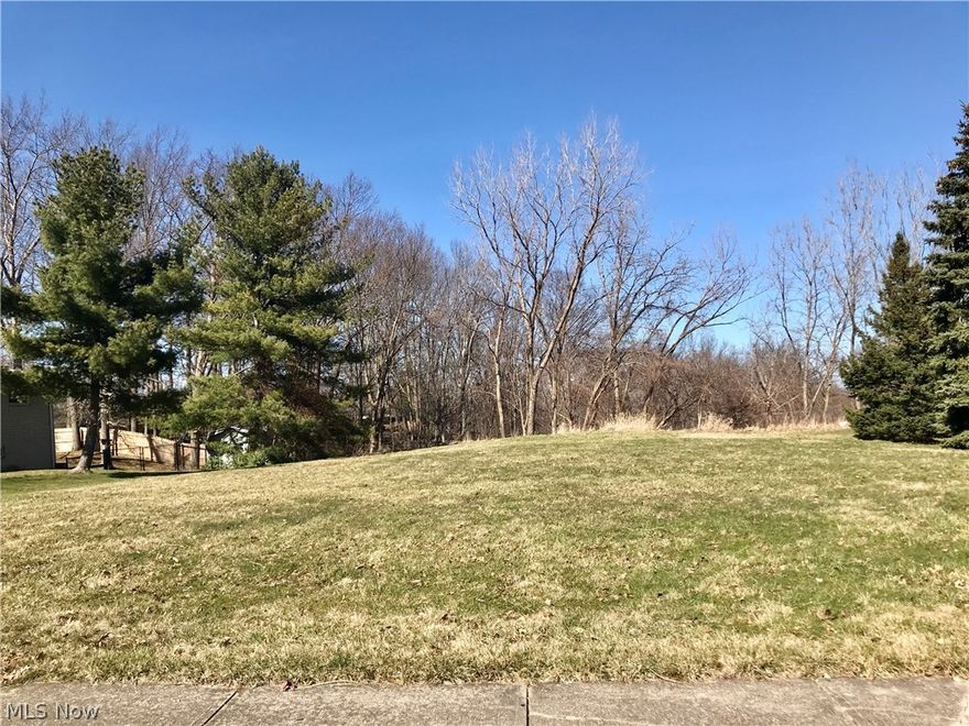 Panorama is the perfect name for the view you will see as you leave this beautiful street with views of Downtown Cleveland.  This lot is level with wooded rear area and you can bring your own builder and design your dream home.  The street is public sewer and water that just needs to be tied into the property.  This lot never has had a home on it.    Fabulous location and great city services and Rec Center make this an ideal lot to build your dream.