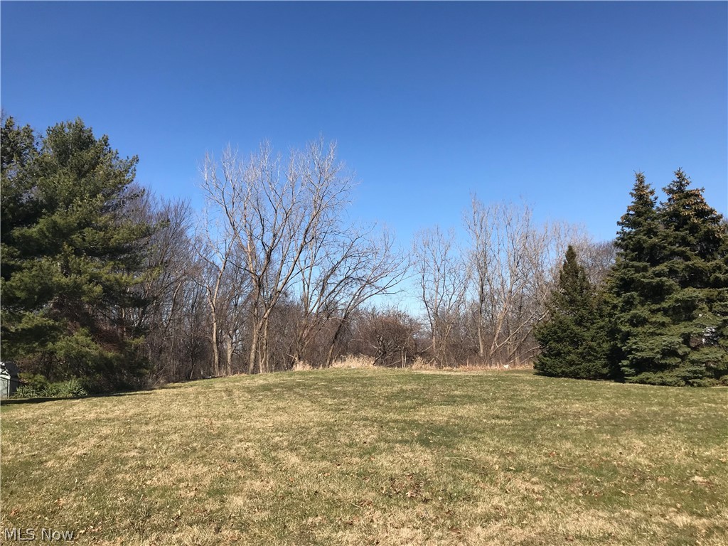 Albert Rispo Sub #7-C - Land