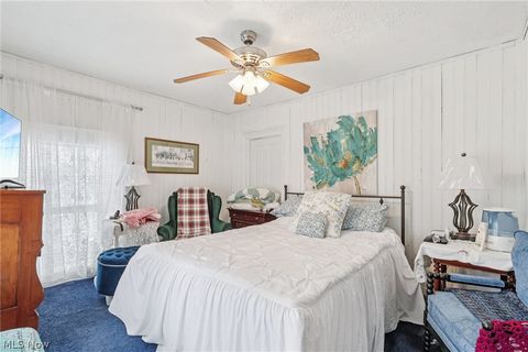 Tiny photo for 145 Walnut Street, Geneva, OH 44041 (MLS # 5188228)