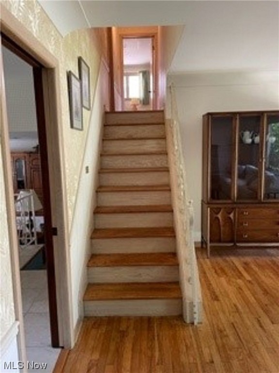 Euclid 20 - Residential