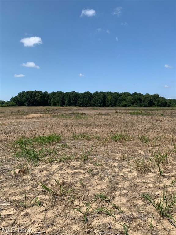 Nearly 12 beautiful acres for sale in Berlin Heights! Conveniently on a main road with plenty of frontage to build a beautiful home with plenty of privacy or use for farming land. 7.80 Acres are tillable, 3.99 Acres are woods. Rural water is already at the road and available. These are ideal for someone looking to build their dream home! Plenty of space without having to maintain the four wooded acres. These scenic views are ready and waiting for new owners to appreciate them.