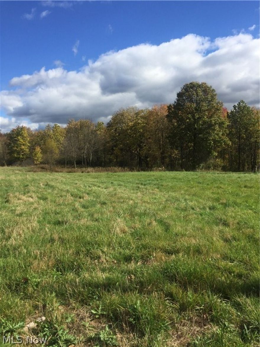 Great opportunity for acreage in the country.  This property is close to Rt 5 & I-76 allowing for easy access to Neomed, as well as retail and restaurants, but is quiet and peaceful.  Appropriate for a large home in the woods, horse property, livestock...anything you can imagine.  This property is a blank slate awaiting your creativity.