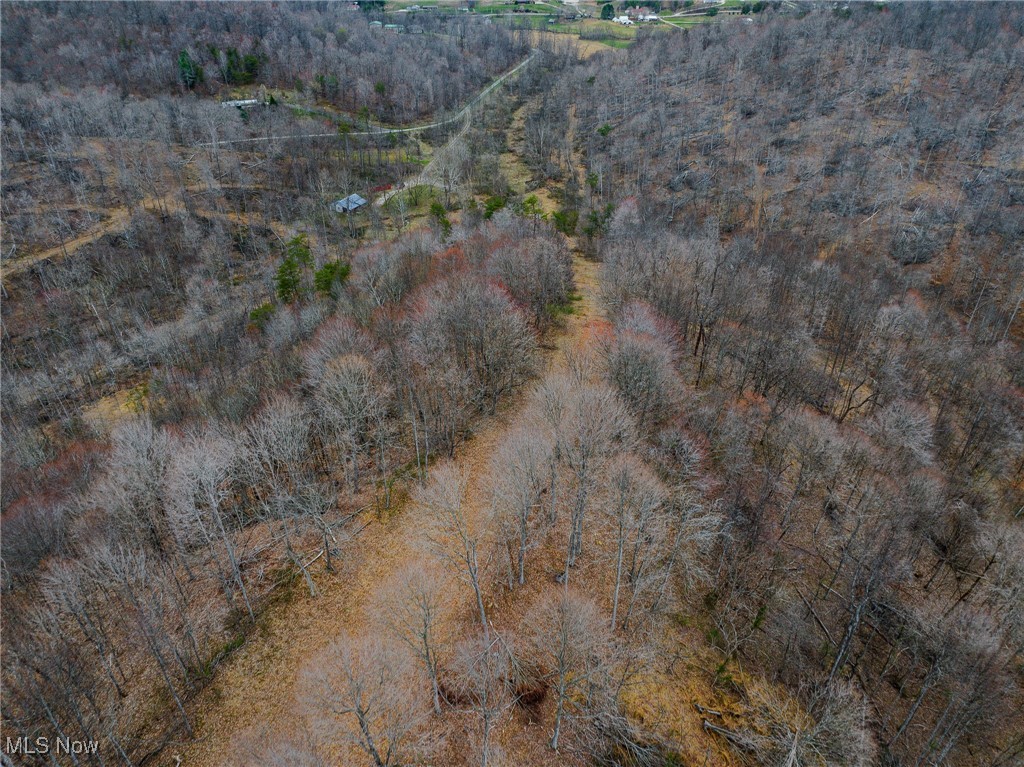 V/L Lick Run Lyra Road, Wheelersburg, Ohio image 3