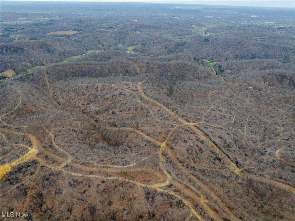 V/L Lick Run Lyra Road, Wheelersburg, Ohio image 6