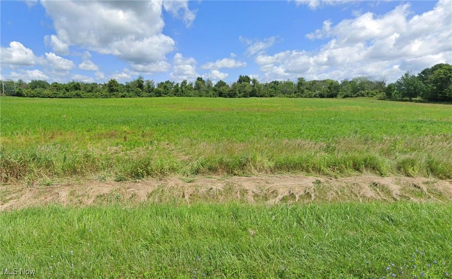 Only 2 minutes from the lake !

Scenic Rolling Land for Sale – Endless Possibilities Await!

Possible Walk-out basement with the lay of the land.

Discover the perfect canvas for your dream project with this expansive 2 acre parcel of rolling land.  Nestled in a serene and picturesque setting, this property offers breathtaking views, gentle elevations, and abundant space for a variety of uses. Whether you're envisioning a private estate, a thriving farm, room for a couple of horses, this land is ready to accommodate your vision.

Property Highlights:
2 acres
Topography: Beautiful rolling terrain with natural drainage
Accessibility: Conveniently located near new homes and just 1 mile from Chippewa Lake & the new horse riding trails.
Bring your builder!

Enjoy peaceful country living with easy access to I-71. Don’t miss this rare opportunity to own a piece of nature’s beauty!
LOTS to do in Chippewa Lake.... Walking, Jogging, Bike, and Horse Trails nearby. Bring your fishing poles, kayak, paddle-board, jet-ski, power boat, pontoon boat and/or sailboat to use on the 300+ acre lake. Take a look at the Medina County Park District's plan for Chippewa Lake. Agent Owned.