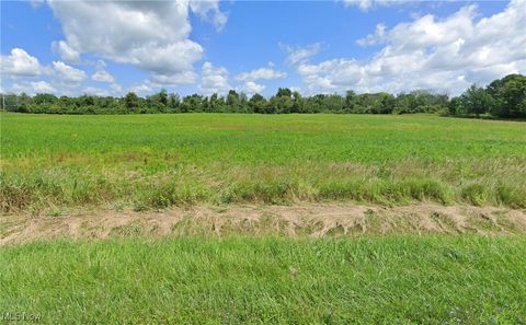 Vacant Land For Sale - PARCEL B Chippewa Road<br/> Chippewa Lake, OH 44215