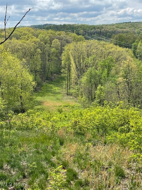 5073 Salineville Road, Carrollton, Ohio image 29
