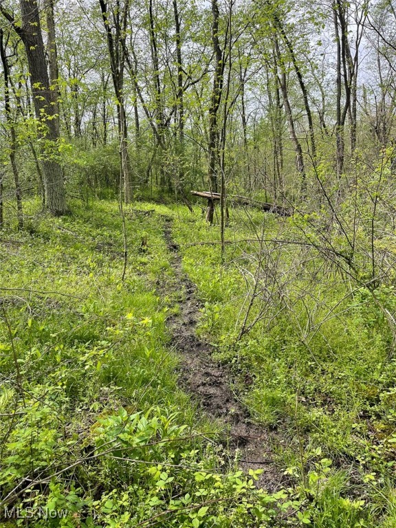 5073 Salineville Road, Carrollton, Ohio image 32