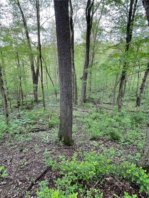 5073 Salineville Road, Carrollton, Ohio image 27